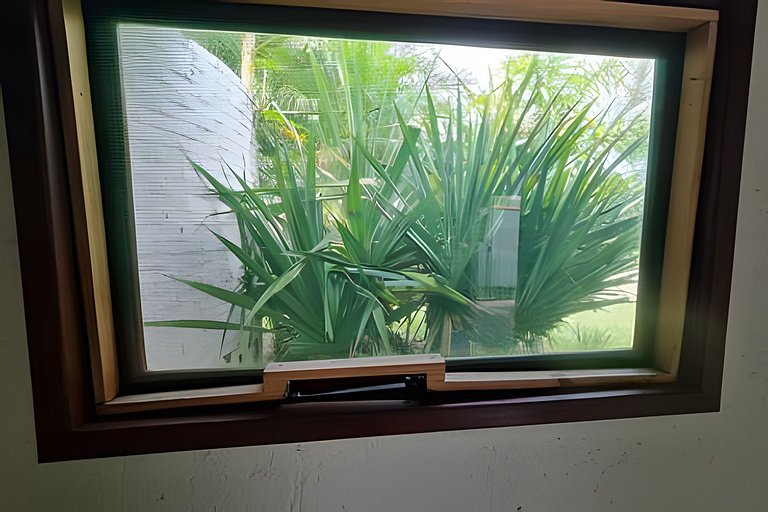 CASA 17 TOP no meio das árvores