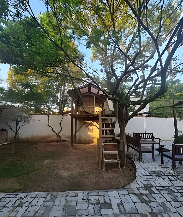 CASA 17 TOP no meio das árvores