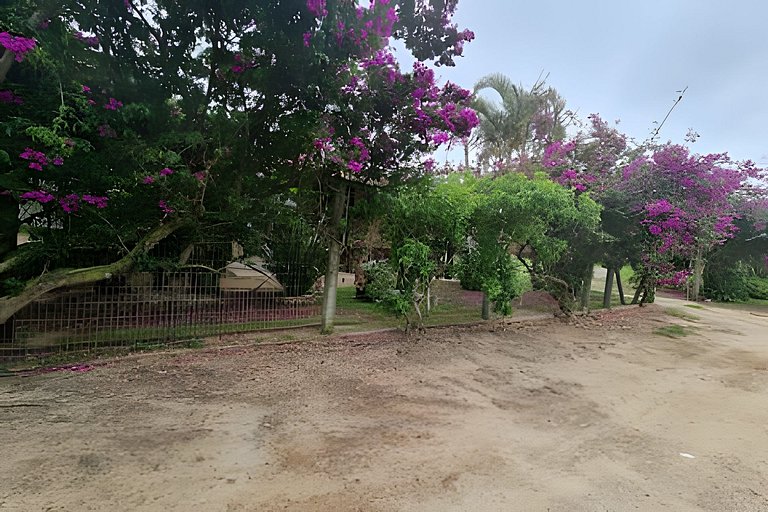 CASA 17 TOP no meio das árvores