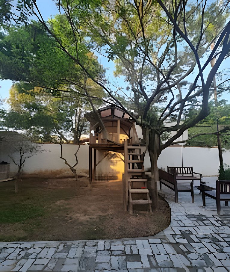 CASA 17 TOP no meio das árvores