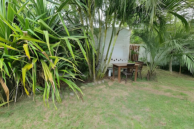 CASA 17 TOP no meio das árvores