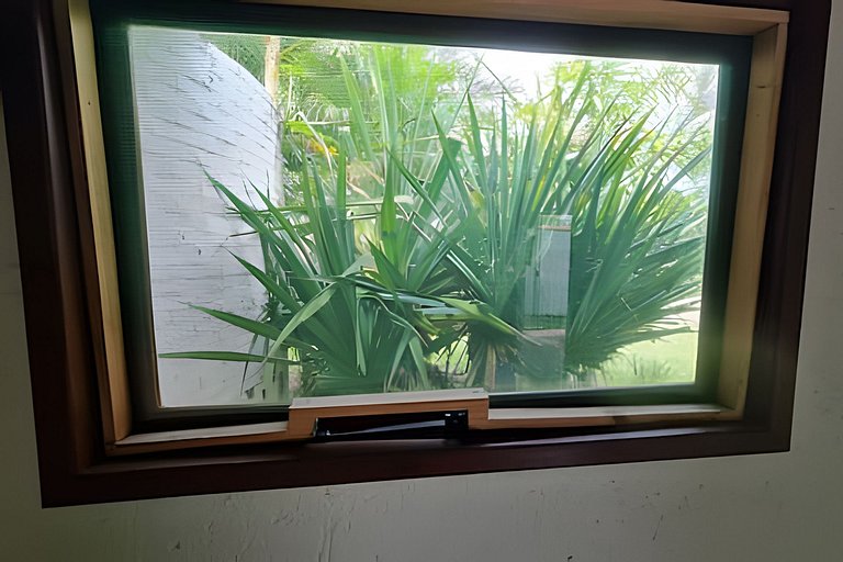 CASA 17 TOP no meio das árvores