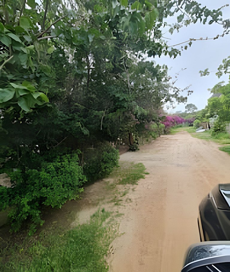 CASA 17 TOP no meio das árvores